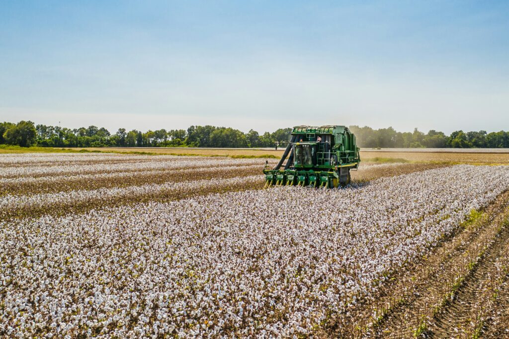 Sustainble Cotton: Regenerative Cotton Farming - Otto International